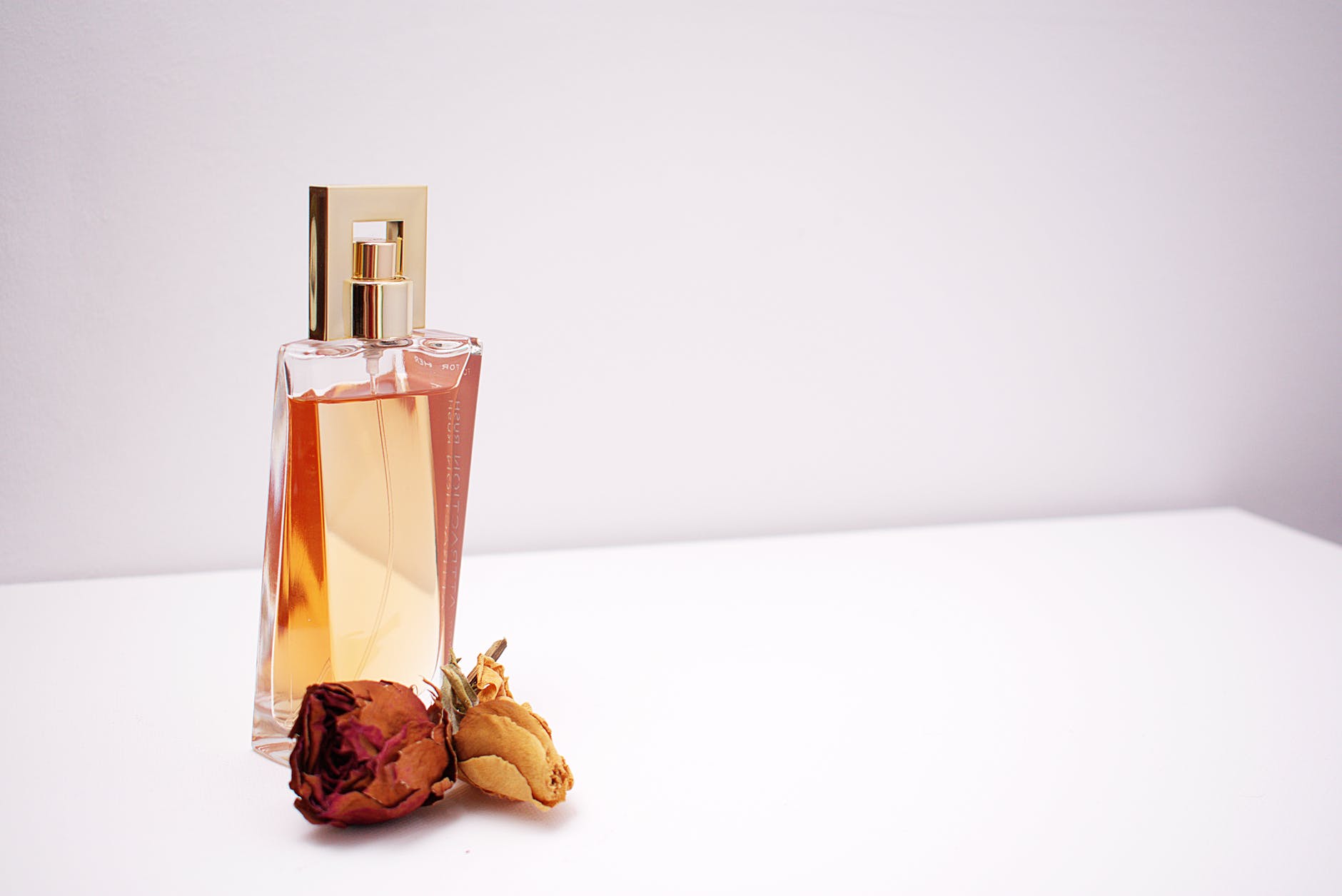 Le parfum boisé, un mélange subtile de palettes olfactives à explorer !